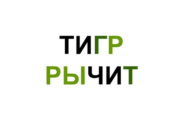 ТИГР РЫЧИТ