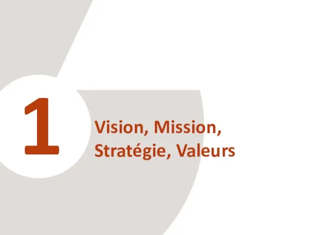 1 Vision, Mission, Stratégie, Valeurs