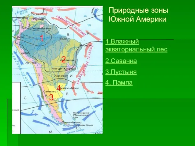 1 2 3 4 Природные зоны Южной Америки 1.Влажный экваториальный лес 2.Саванна 3.Пустыня 4. Пампа