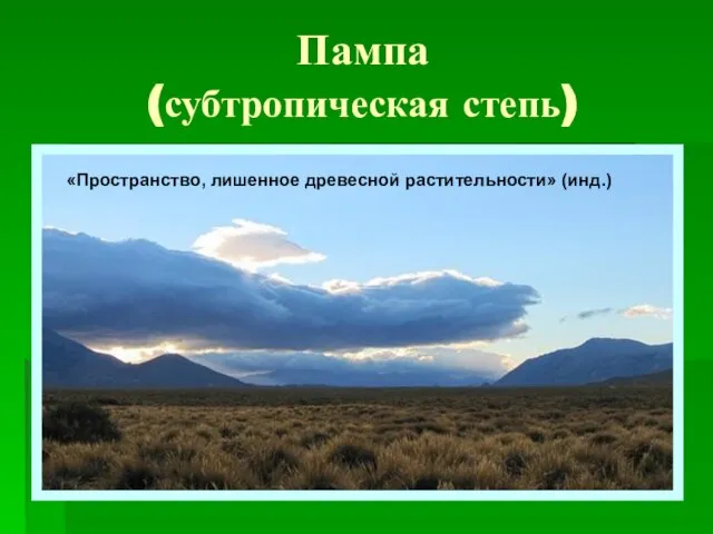 Пампа (субтропическая степь) «Пространство, лишенное древесной растительности» (инд.)