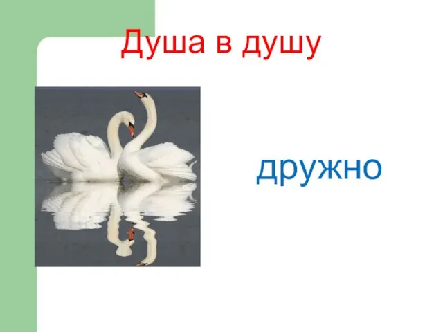 дружно Душа в душу