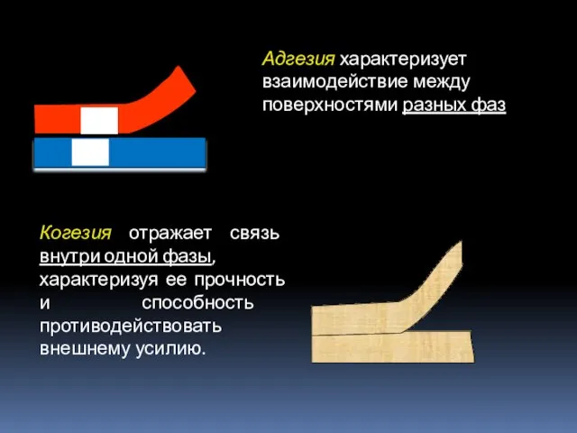 Когезия отражает связь внутри одной фазы, характеризуя ее прочность и способность