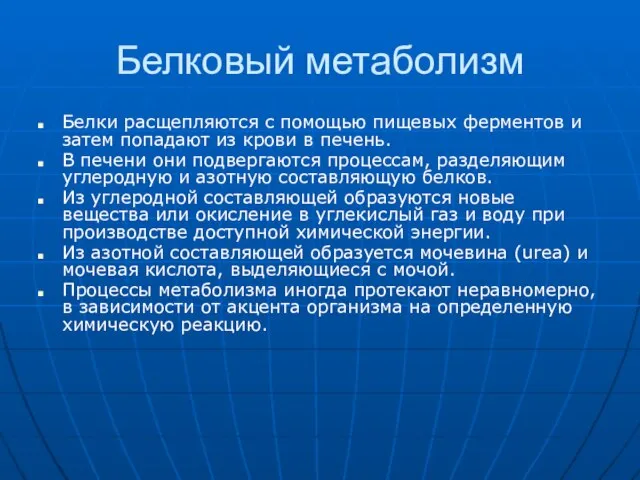 Белковый метаболизм Белки расщепляются с помощью пищевых ферментов и затем попадают