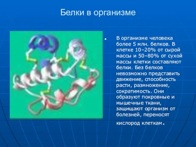 Белки в организме В организме человека более 5 млн. белков. В