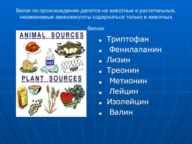 Белки по происхождению делятся на животные и растительные, незаменимые аминокислоты содержаться