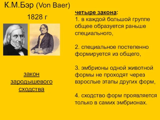 К.М.Бэр (Von Baer) 1828 г закон зародышевого сходства четыре закона: 1.