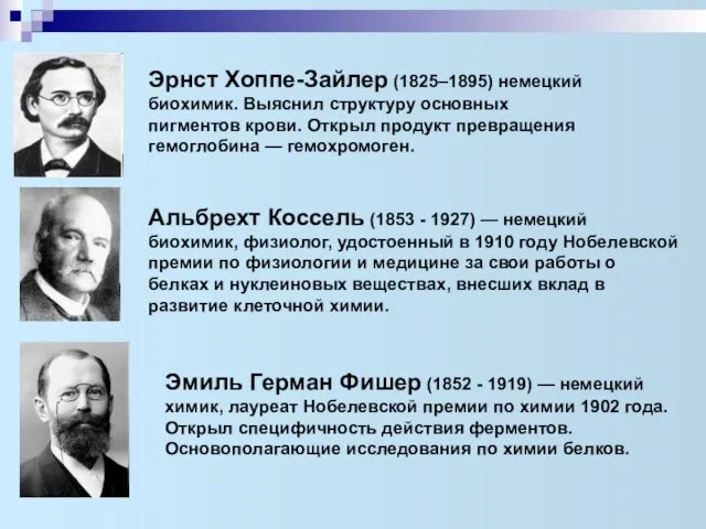 Эрнст Хоппе-Зайлер (1825–1895) немецкий биохимик. Выяснил структуру основных пигментов крови. Открыл