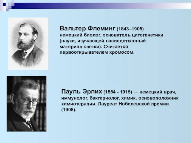 Вальтер Флеминг (1843–1905) немецкий биолог, основатель цитогенетики (науки, изучающей наследственный материал