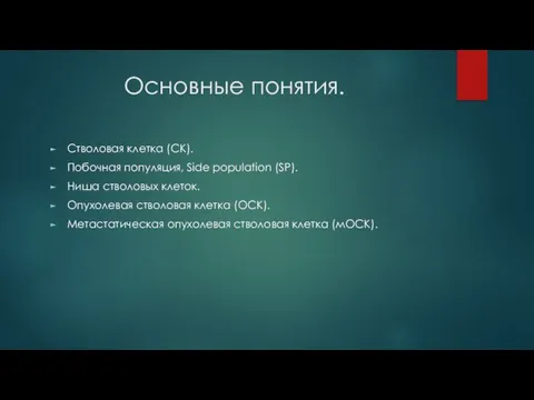 Основные понятия. Стволовая клетка (СК). Побочная популяция, Side population (SP). Ниша