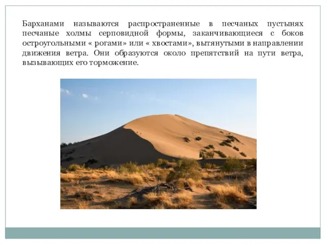 Барханами называются распространенные в песчаных пустынях песчаные холмы серповидной формы, заканчивающиеся