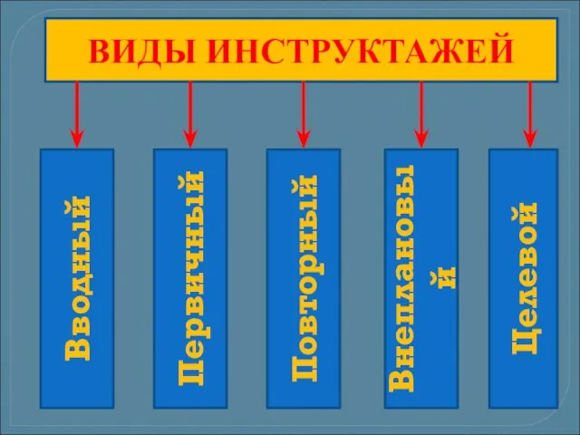 ВИДЫ ИНСТРУКТАЖЕЙ Вводный Первичный Повторный Внеплановый Целевой