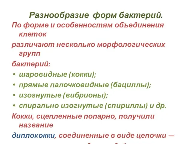 Разнообразие форм бактерий. По форме и особенностям объединения клеток различают несколько