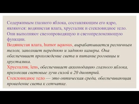 Содержимым глазного яблока, составляющим его ядро, являются: водянистая влага, хрусталик и