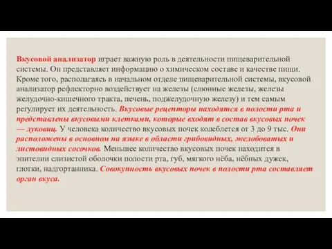 Вкусовой анализатор играет важную роль в деятельности пищеварительной системы. Он представляет