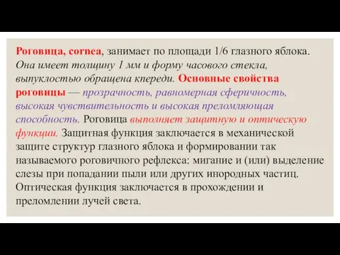 Роговица, cornea, занимает по площади 1/6 глазного яблока. Она имеет толщину