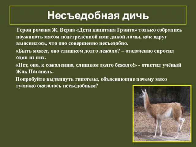 Несъедобная дичь Герои романа Ж. Верна «Дети капитана Гранта» только собрались