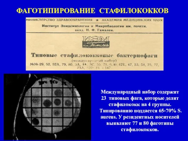 ФАГОТИПИРОВАНИЕ СТАФИЛОКОККОВ Международный набор содержит 23 типовых фага, которые делят стафилококк