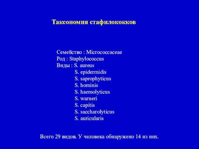 Таксономия стафилококков Семейство : Micrococcaceae Род : Staphylococcus Виды : S.