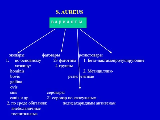 S. AUREUS в а р и а н т ы эковары