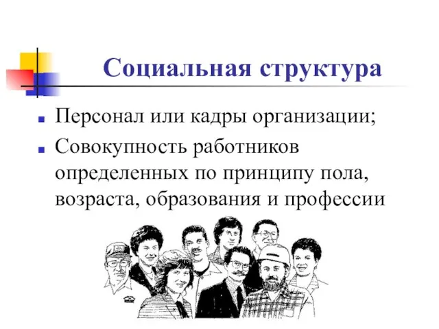 Социальная структура Персонал или кадры организации; Совокупность работников определенных по принципу пола, возраста, образования и профессии