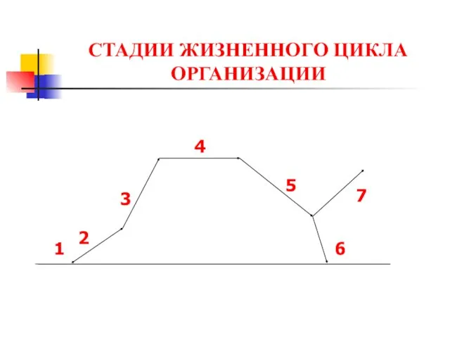 СТАДИИ ЖИЗНЕННОГО ЦИКЛА ОРГАНИЗАЦИИ 1 2 3 4 5 6 7