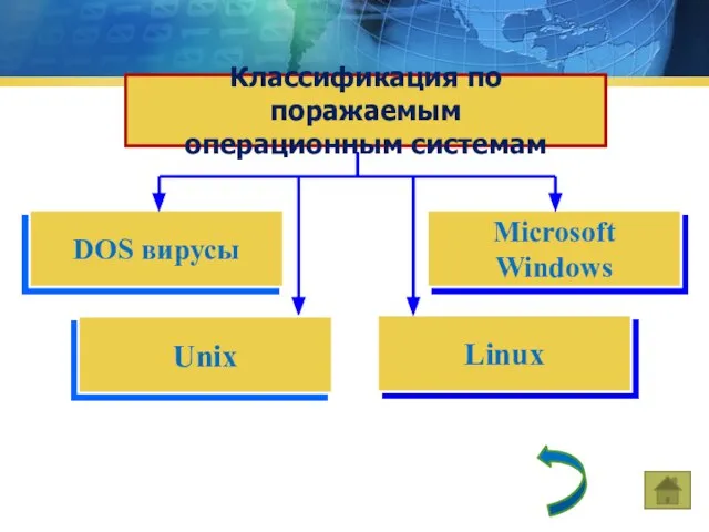 Microsoft Windows Классификация по поражаемым операционным системам DOS вирусы Linux Unix