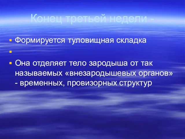 Конец третьей недели - Формируется туловищная складка Она отделяет тело зародыша