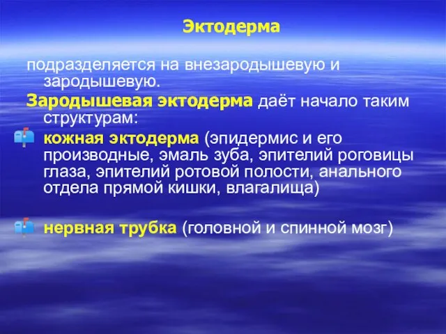 Эктодерма подразделяется на внезародышевую и зародышевую. Зародышевая эктодерма даёт начало таким