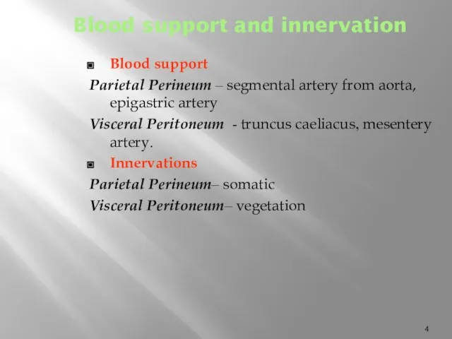 Blood support and innervation Blood support Parietal Perineum – segmental artery