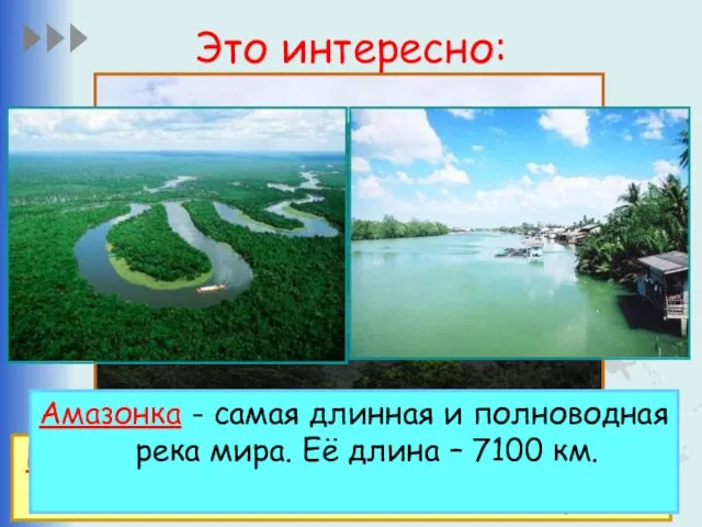 Это интересно: Водопад Анхель - самый высокий в мире водопад, общая