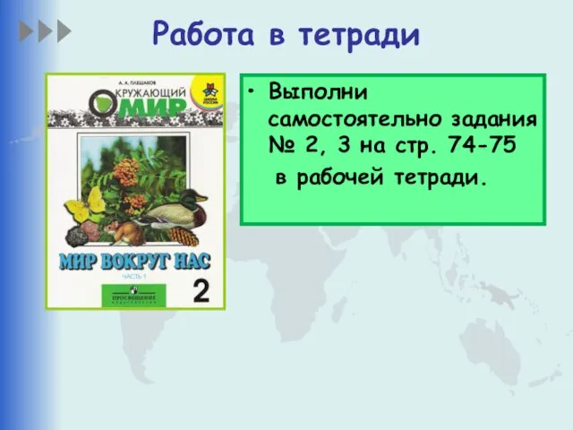 Работа в тетради Выполни самостоятельно задания № 2, 3 на стр. 74-75 в рабочей тетради.