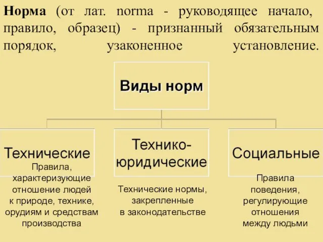 Норма (от лат. norma - руководящее начало, правило, образец) - признанный