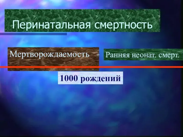 Перинатальная смертность Мертворождаемость + Ранняя неонат. смерт. 1000 рождений