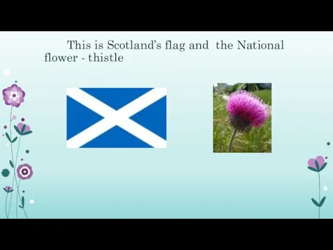 This is Scotland’s flag and the National flower - thistle