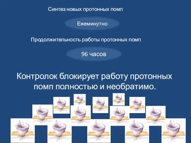 Синтез новых протонных помп Продолжительность работы протонных помп Контролок блокирует работу