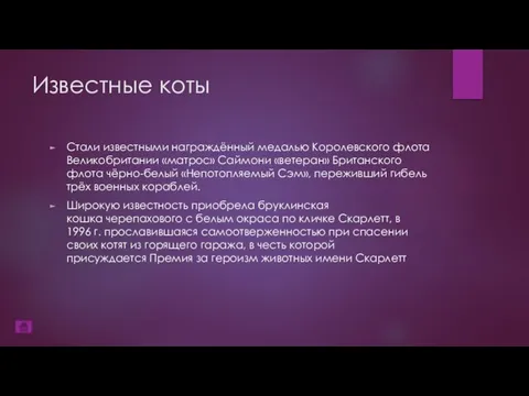 Известные коты Стали известными награждённый медалью Королевского флота Великобритании «матрос» Саймони