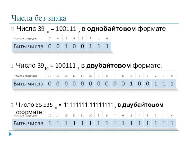 Числа без знака Число 3910 = 100111 2 в однобайтовом формате: