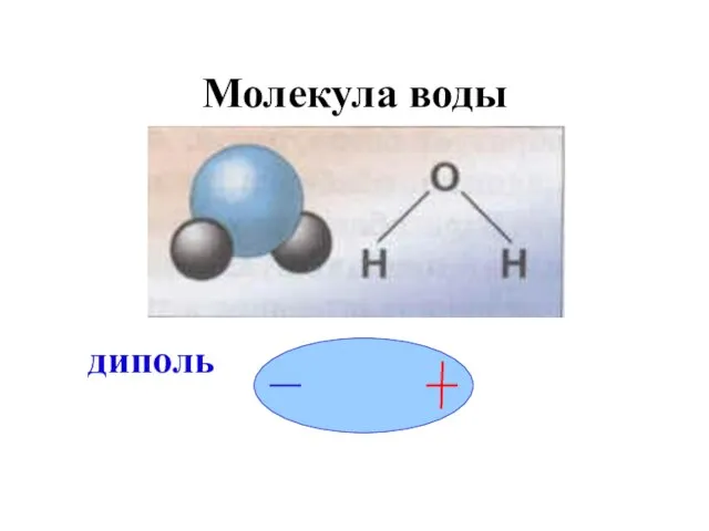 Молекула воды диполь