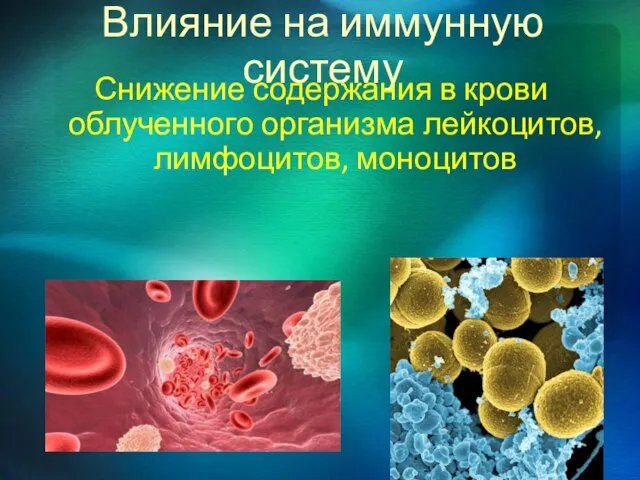 Влияние на иммунную систему Снижение содержания в крови облученного организма лейкоцитов, лимфоцитов, моноцитов