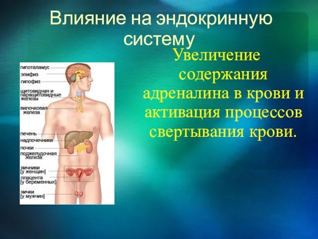 Влияние на эндокринную систему Увеличение содержания адреналина в крови и активация процессов свертывания крови.