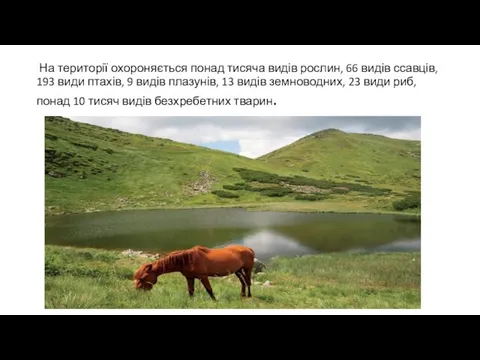 На території охороняється понад тисяча видів рослин, 66 видів ссавців, 193