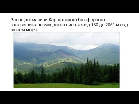 Заповідні масиви Карпатського біосферного заповідника розміщені на висотах від 180 до 2061 м над рівнем моря.