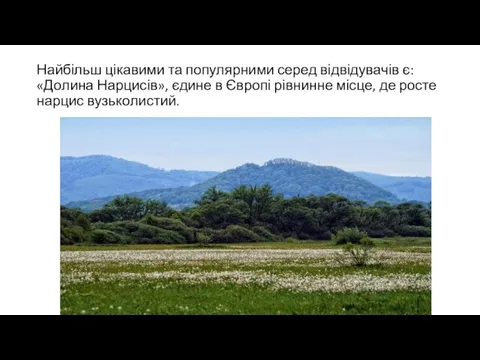 Найбільш цікавими та популярними серед відвідувачів є: «Долина Нарцисів», єдине в