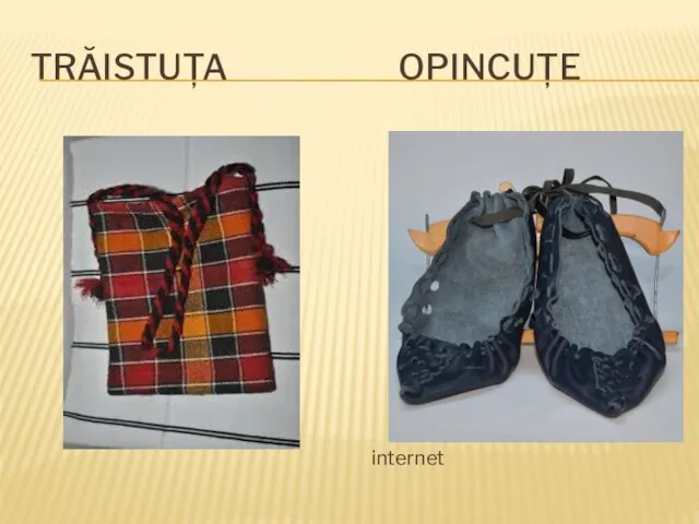 TRĂISTUȚA OPINCUȚE internet