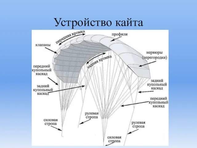 Устройство кайта