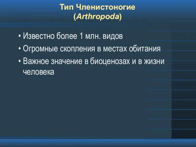 Тип Членистоногие (Arthropoda) Известно более 1 млн. видов Огромные скопления в