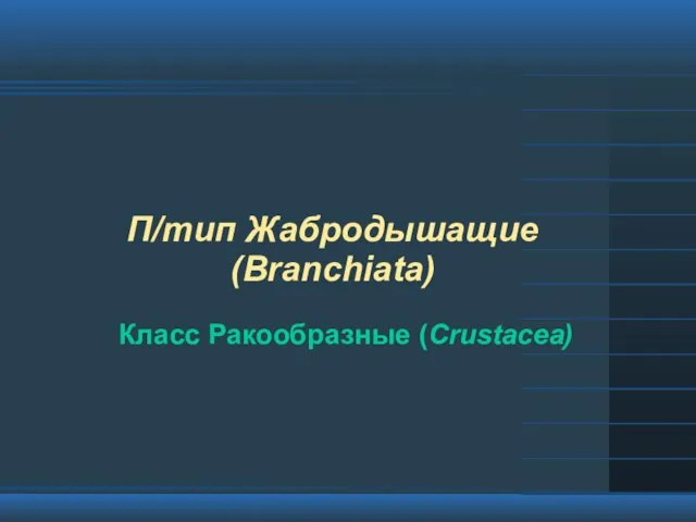 П/тип Жабродышащие (Branchiata) Класс Ракообразные (Crustacea)