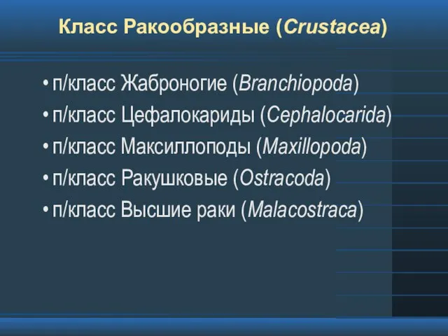 Класс Ракообразные (Crustacea) п/класс Жаброногие (Branchiopoda) п/класс Цефалокариды (Cephalocarida) п/класс Максиллоподы