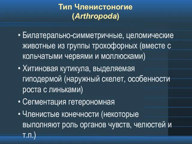 Тип Членистоногие (Arthropoda) Билатерально-симметричные, целомические животные из группы трохофорных (вместе с