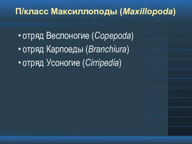 П/класс Максиллоподы (Maxillopoda) отряд Веслоногие (Copepoda) отряд Карпоеды (Branchiura) отряд Усоногие (Cirripedia)